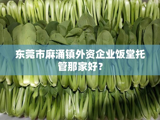 东莞市麻涌镇外资企业饭堂托管那家好？