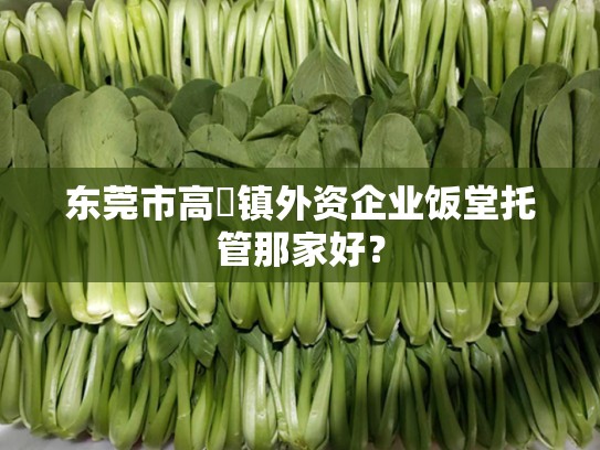 东莞市高埗镇外资企业饭堂托管那家好？
