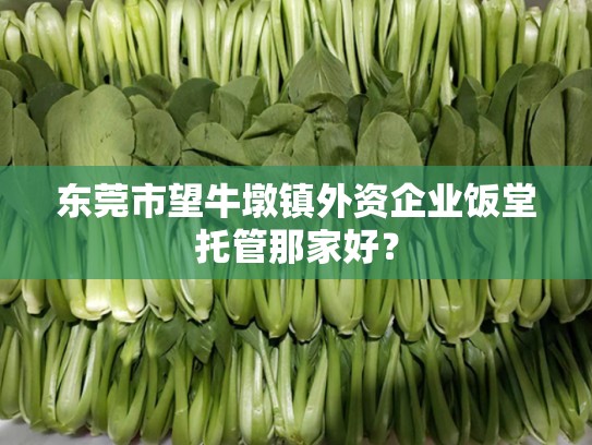 东莞市望牛墩镇外资企业饭堂托管那家好？