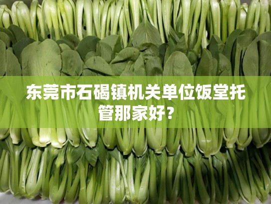 东莞市石碣镇机关单位饭堂托管那家好？