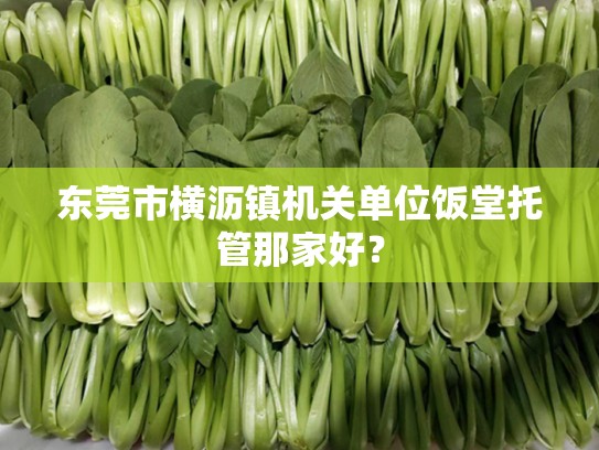 东莞市横沥镇机关单位饭堂托管那家好？