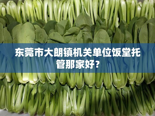 东莞市大朗镇机关单位饭堂托管那家好？