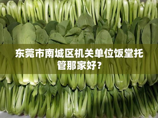 东莞市南城区机关单位饭堂托管那家好？