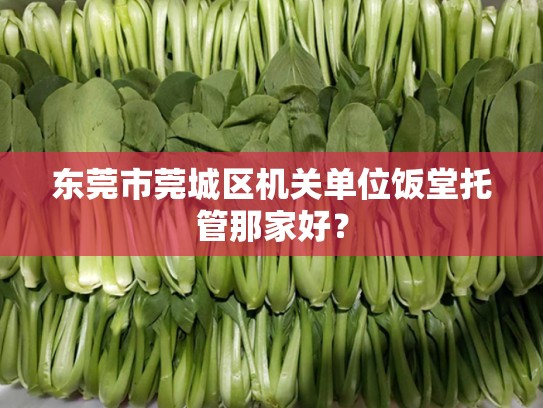 东莞市莞城区机关单位饭堂托管那家好？