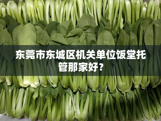 东莞市东城区机关单位饭堂托管那家好？
