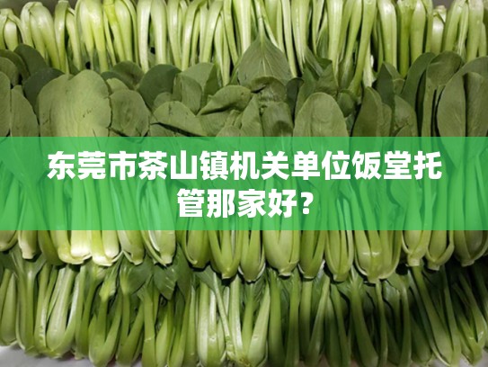 东莞市茶山镇机关单位饭堂托管那家好？