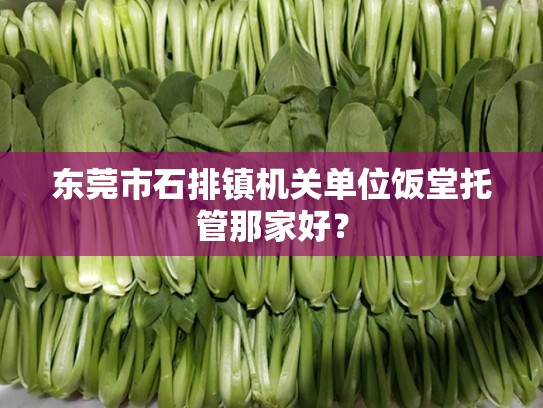 东莞市石排镇机关单位饭堂托管那家好？