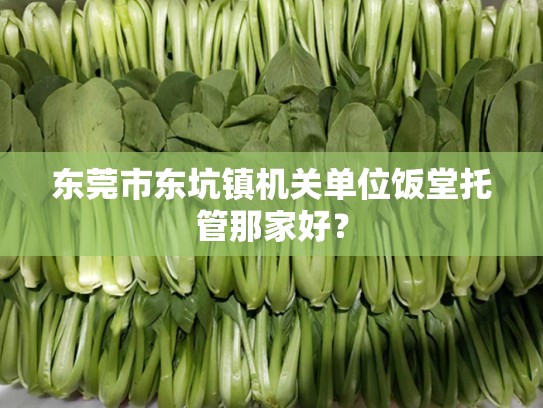 东莞市东坑镇机关单位饭堂托管那家好？