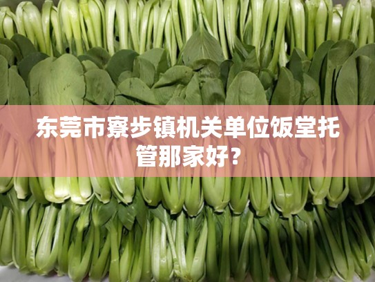 东莞市寮步镇机关单位饭堂托管那家好？