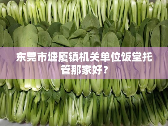 东莞市塘厦镇机关单位饭堂托管那家好？