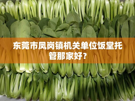 东莞市凤岗镇机关单位饭堂托管那家好？