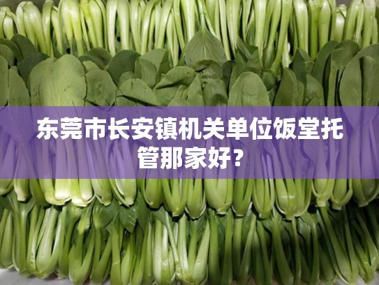东莞市长安镇机关单位饭堂托管那家好？