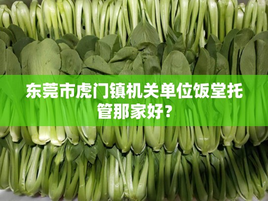 东莞市虎门镇机关单位饭堂托管那家好？