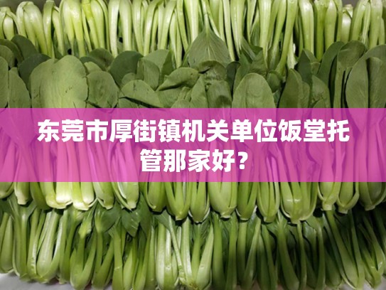 东莞市厚街镇机关单位饭堂托管那家好？