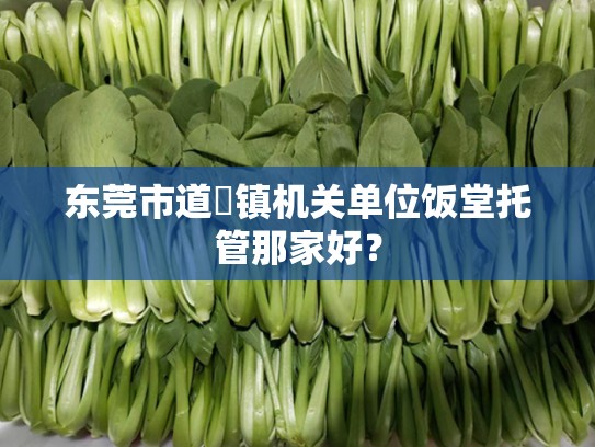 东莞市道滘镇机关单位饭堂托管那家好？