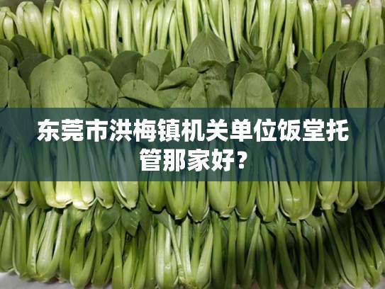 东莞市洪梅镇机关单位饭堂托管那家好？