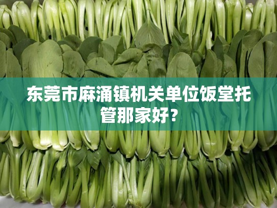 东莞市麻涌镇机关单位饭堂托管那家好？