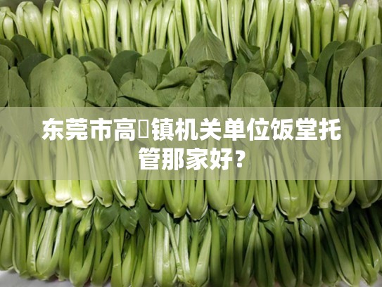 东莞市高埗镇机关单位饭堂托管那家好？