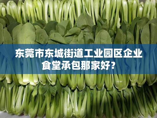 东莞市东城街道工业园区企业食堂承包那家好？