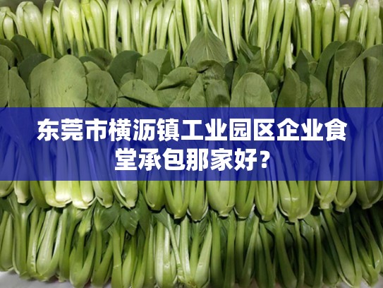 东莞市横沥镇工业园区企业食堂承包那家好？