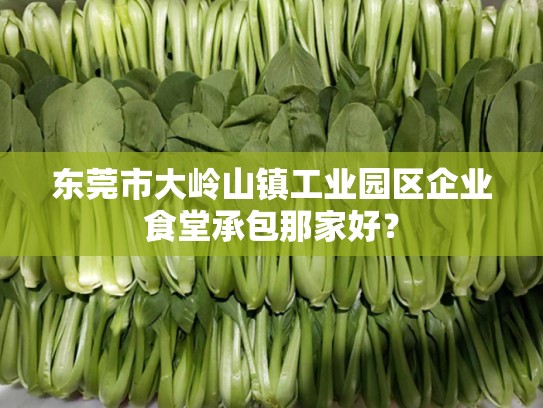 东莞市大岭山镇工业园区企业食堂承包那家好？