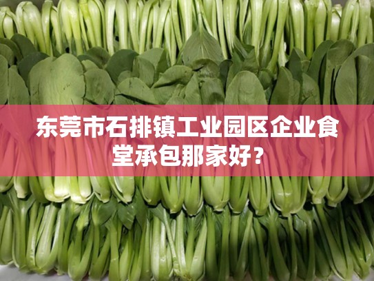 东莞市石排镇工业园区企业食堂承包那家好？