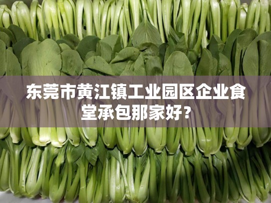 东莞市黄江镇工业园区企业食堂承包那家好？