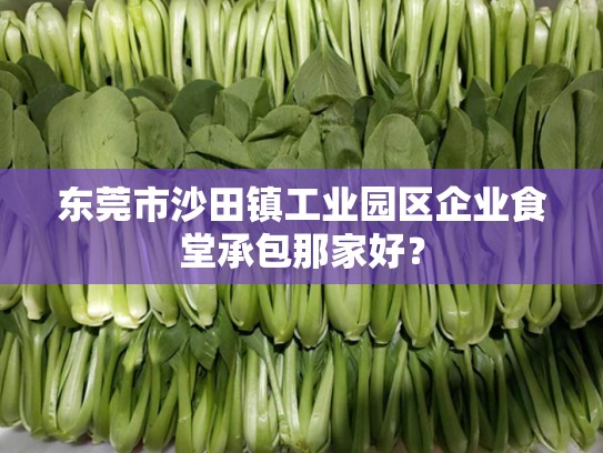 东莞市沙田镇工业园区企业食堂承包那家好？