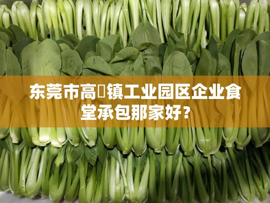 东莞市高埗镇工业园区企业食堂承包那家好？