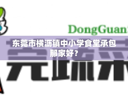 东莞市横沥镇中小学食堂承包那家好？