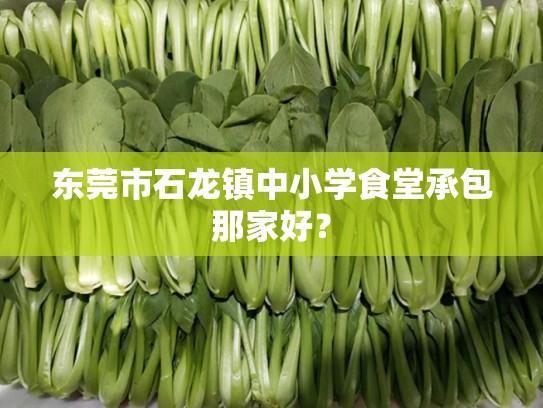 东莞市石龙镇中小学食堂承包那家好？