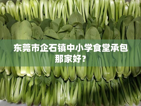 东莞市企石镇中小学食堂承包那家好？