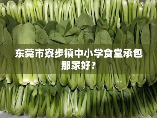 东莞市寮步镇中小学食堂承包那家好？