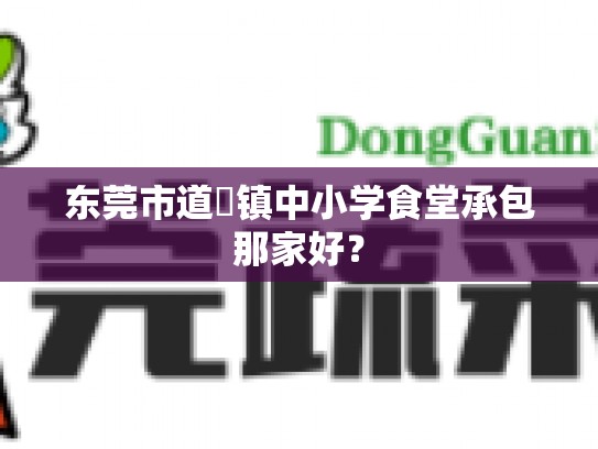 东莞市道滘镇中小学食堂承包那家好？