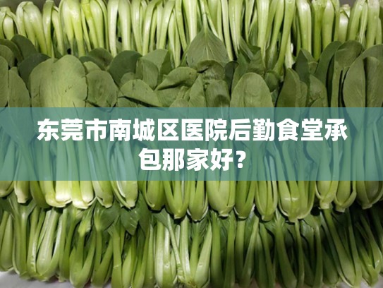 东莞市南城区医院后勤食堂承包那家好？