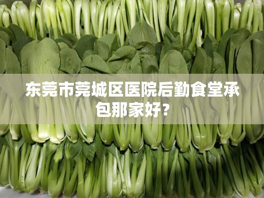 东莞市莞城区医院后勤食堂承包那家好？
