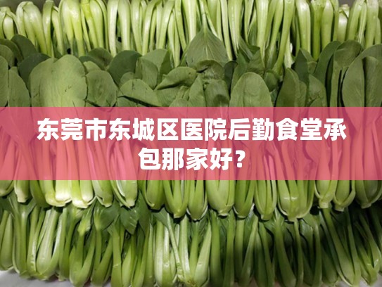 东莞市东城区医院后勤食堂承包那家好？