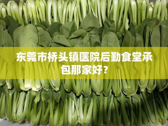 东莞市桥头镇医院后勤食堂承包那家好？