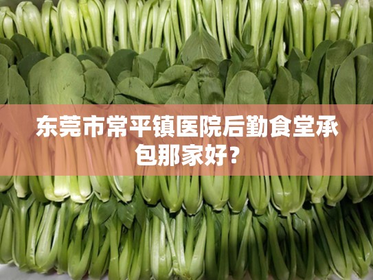 东莞市常平镇医院后勤食堂承包那家好？