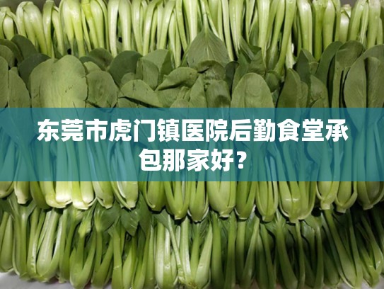 东莞市虎门镇医院后勤食堂承包那家好？
