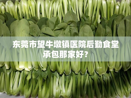 东莞市望牛墩镇医院后勤食堂承包那家好？