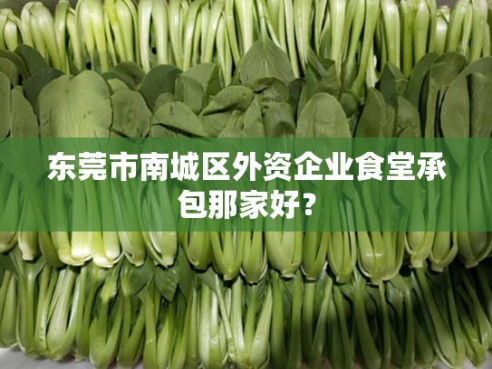 东莞市南城区外资企业食堂承包那家好？