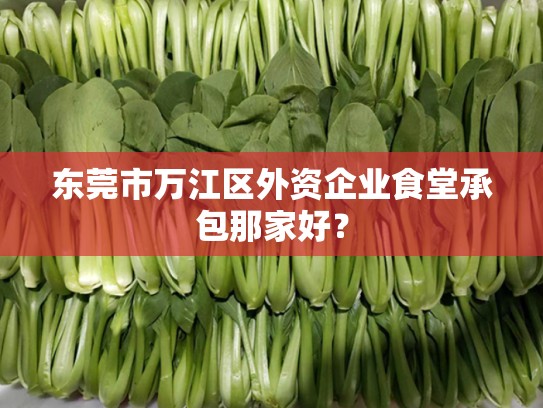 东莞市万江区外资企业食堂承包那家好？