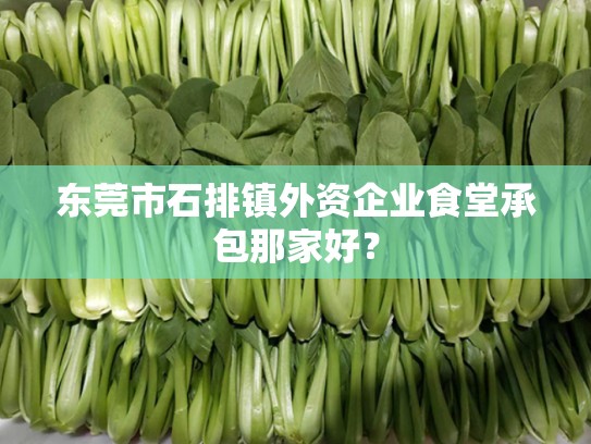 东莞市石排镇外资企业食堂承包那家好？
