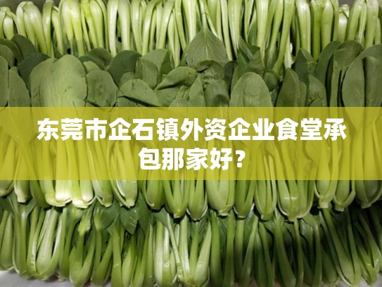 东莞市企石镇外资企业食堂承包那家好？