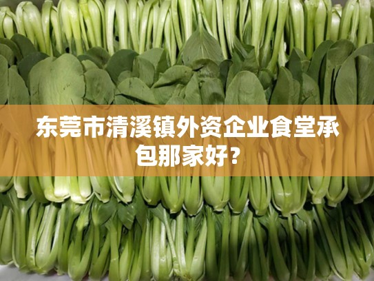 东莞市清溪镇外资企业食堂承包那家好？