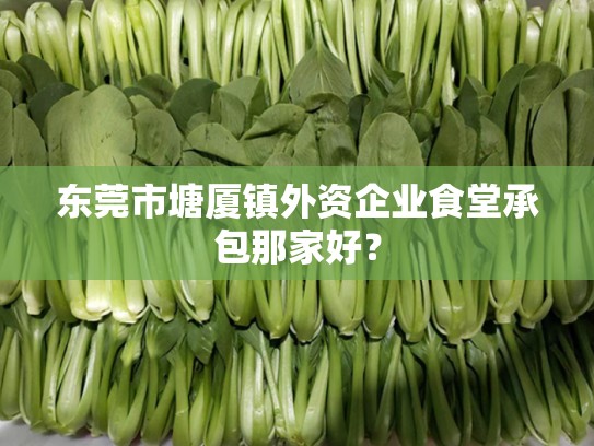 东莞市塘厦镇外资企业食堂承包那家好？