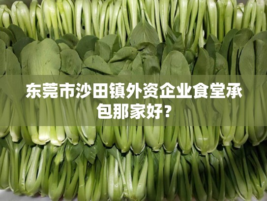 东莞市沙田镇外资企业食堂承包那家好？