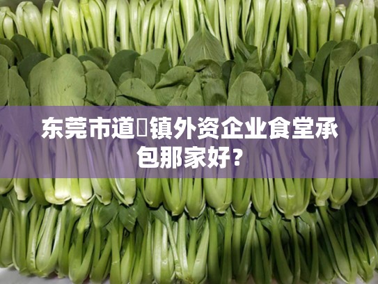 东莞市道滘镇外资企业食堂承包那家好？