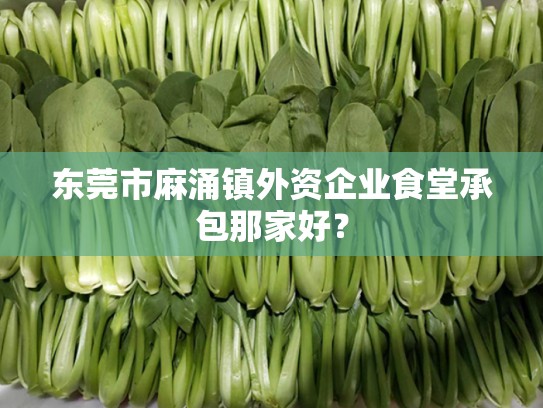 东莞市麻涌镇外资企业食堂承包那家好？